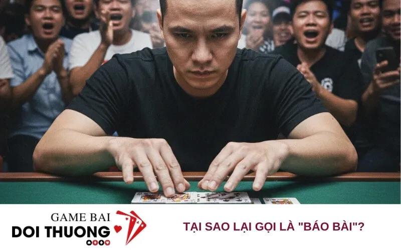 Tại sao lại gọi là "báo bài"?